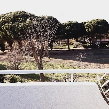 Feriehus Mazet 2 Avec Terrasse Et Parking Au Lavandou - Fr-1-803-45